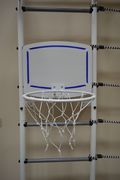 Кольцо баскетбольное со щитом (Пионер) белый в категории Спортинвентарь для дачных и домашних ДСК